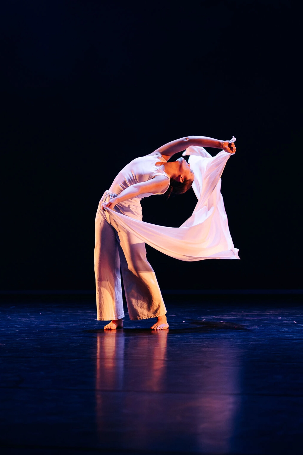 Dantza ecole danse lux